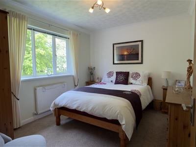 Picture 21